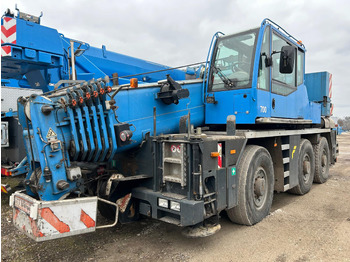 Grua todo o terreno DEMAG