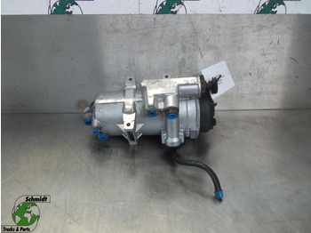 : foto do cabeçalho