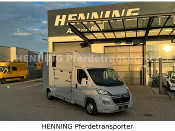 Caminhão transporte de gado CITROËN Jumper