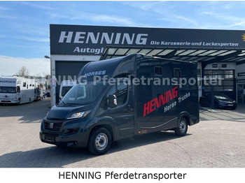 Caminhão para transporte de cavalos FIAT Ducato