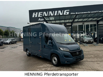 Caminhão transporte de gado FIAT Ducato