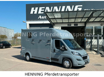 Caminhão para transporte de cavalos PEUGEOT