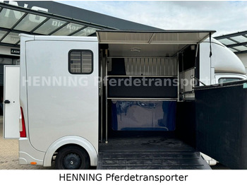 Caminhão para transporte de cavalos Renault Master 3 - Sitzer: foto 5