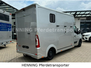 Caminhão para transporte de cavalos Renault Master 3 - Sitzer: foto 3