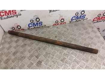 : foto do cabeçalho