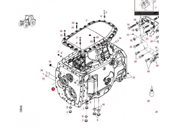 : foto do cabeçalho