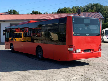 Ônibus urbano MAN A 20 / Lions City Ü  Euro 5 / EEV / KLIMA: foto 4