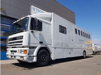 Caminhão para transporte de cavalos DAF 95 350