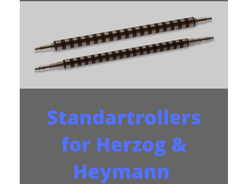 : foto do cabeçalho