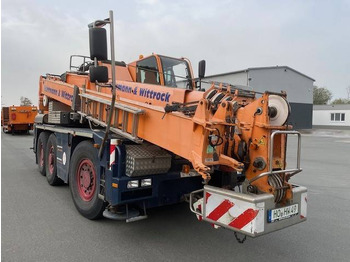 Grua todo o terreno DEMAG
