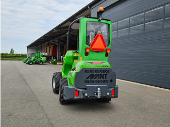 Mini carregadeira de esteiras Avant 635i Rental mini-shovel: foto 4