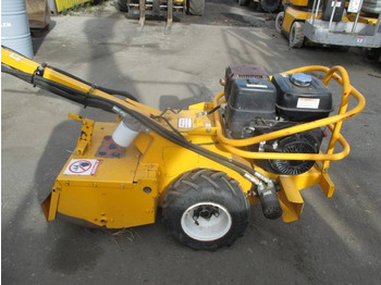 : foto do cabeçalho