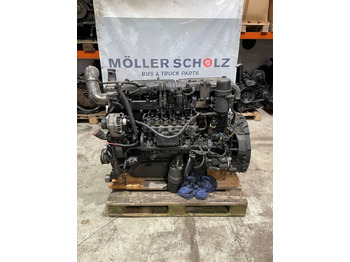 : foto do cabeçalho