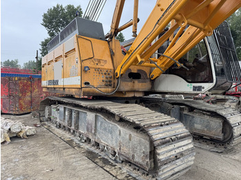 Guindaste sobre esteiras LIEBHERR