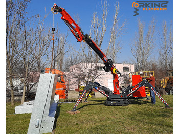 Mini grua