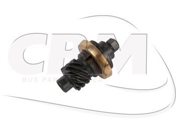 : foto do cabeçalho