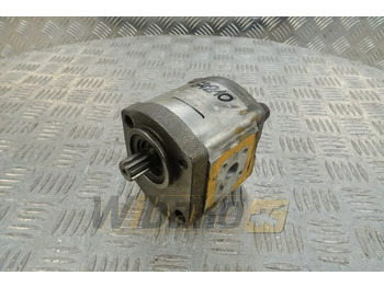 : foto do cabeçalho