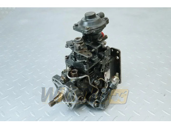 : foto do cabeçalho