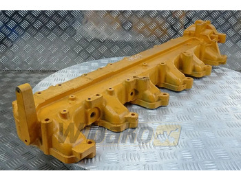 : foto do cabeçalho