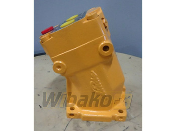 : foto do cabeçalho