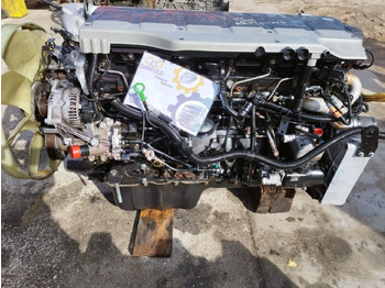 : foto do cabeçalho