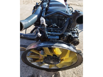 : foto do cabeçalho