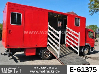 Caminhão para transporte de cavalos MERCEDES-BENZ