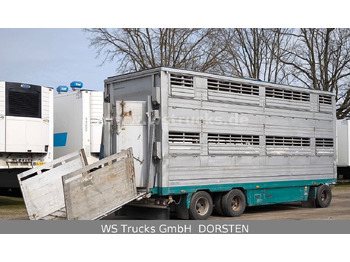 Reboque transporte de gado nuevo Pezzaioli Pezzaiolli 2 Stock RBA31F ausfahrbares Dach: foto 5