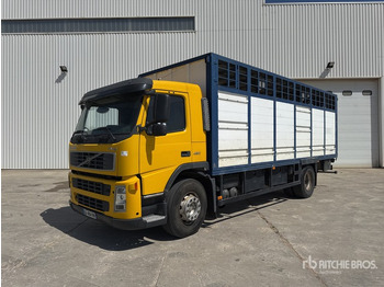 Caminhão transporte de gado VOLVO FM12 420
