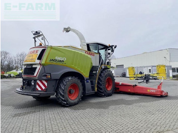 Picadora de forragem automotriz CLAAS jaguar 960 4-trac - tier 4f sf: foto 2