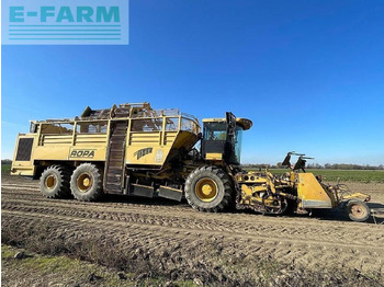 Colheitadeira de beterraba Ropa euro tiger: foto 2