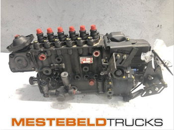 : foto do cabeçalho