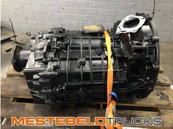 : foto do cabeçalho