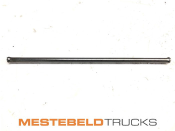 : foto do cabeçalho