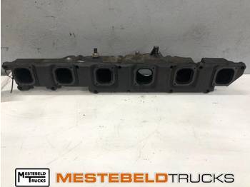 : foto do cabeçalho