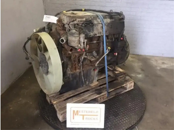 : foto do cabeçalho