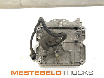 Silenciador/ Sistema de escape RENAULT