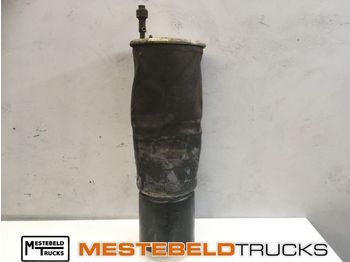 Estrutura/ Châssis SCANIA