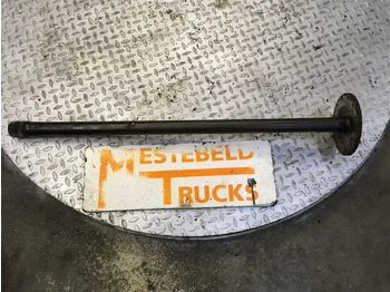 : foto do cabeçalho