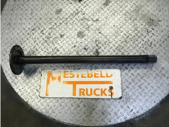 : foto do cabeçalho