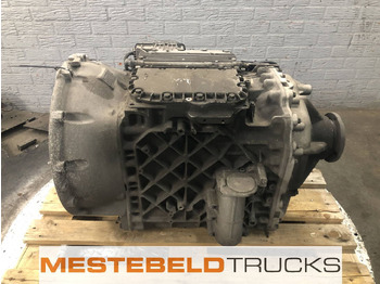 : foto do cabeçalho