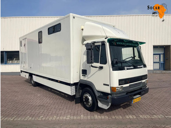 Caminhão para transporte de cavalos DAF LF 45 130