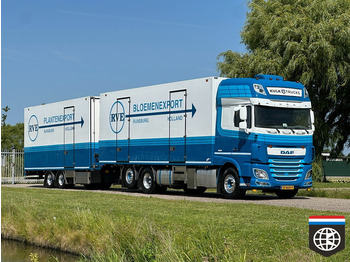 Caminhão frigorífico DAF XF 460