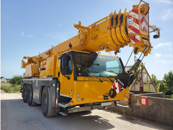 Guindaste móvel LIEBHERR LTM 1055-3.2