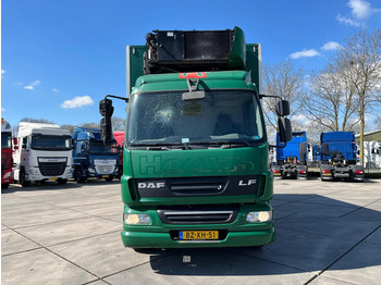 Caminhão frigorífico DAF LF 55 FA: foto 2
