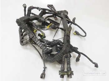 : foto do cabeçalho