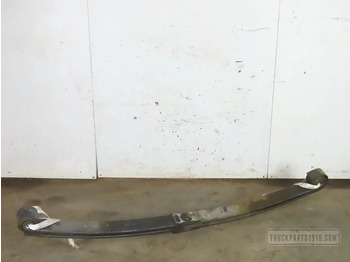 Suspensão de molas/ Suspensão de lâminas DAF XF 106