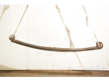 Suspensão de molas/ Suspensão de lâminas DAF XF