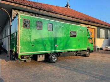 Caminhão para transporte de cavalos Mercedes-Benz Atego 1018 - Horse transporter: foto 5