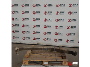 Suspensão de molas/ Suspensão de lâminas RENAULT